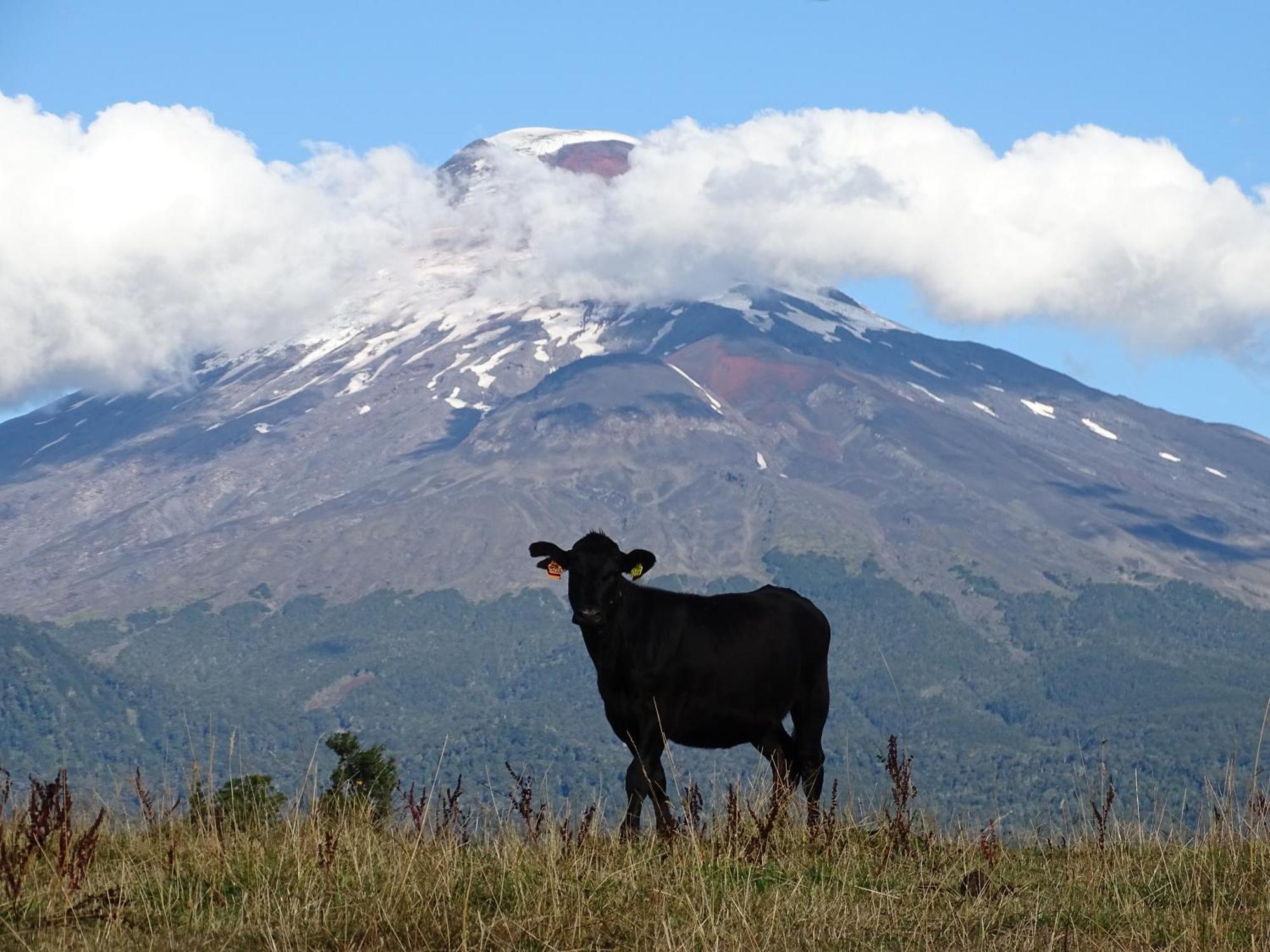 La Posada Del Colono Puerto Clocker ภายนอก รูปภาพ
